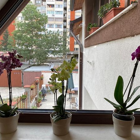 Готель Sofia Family House - Free Parking Екстер'єр фото