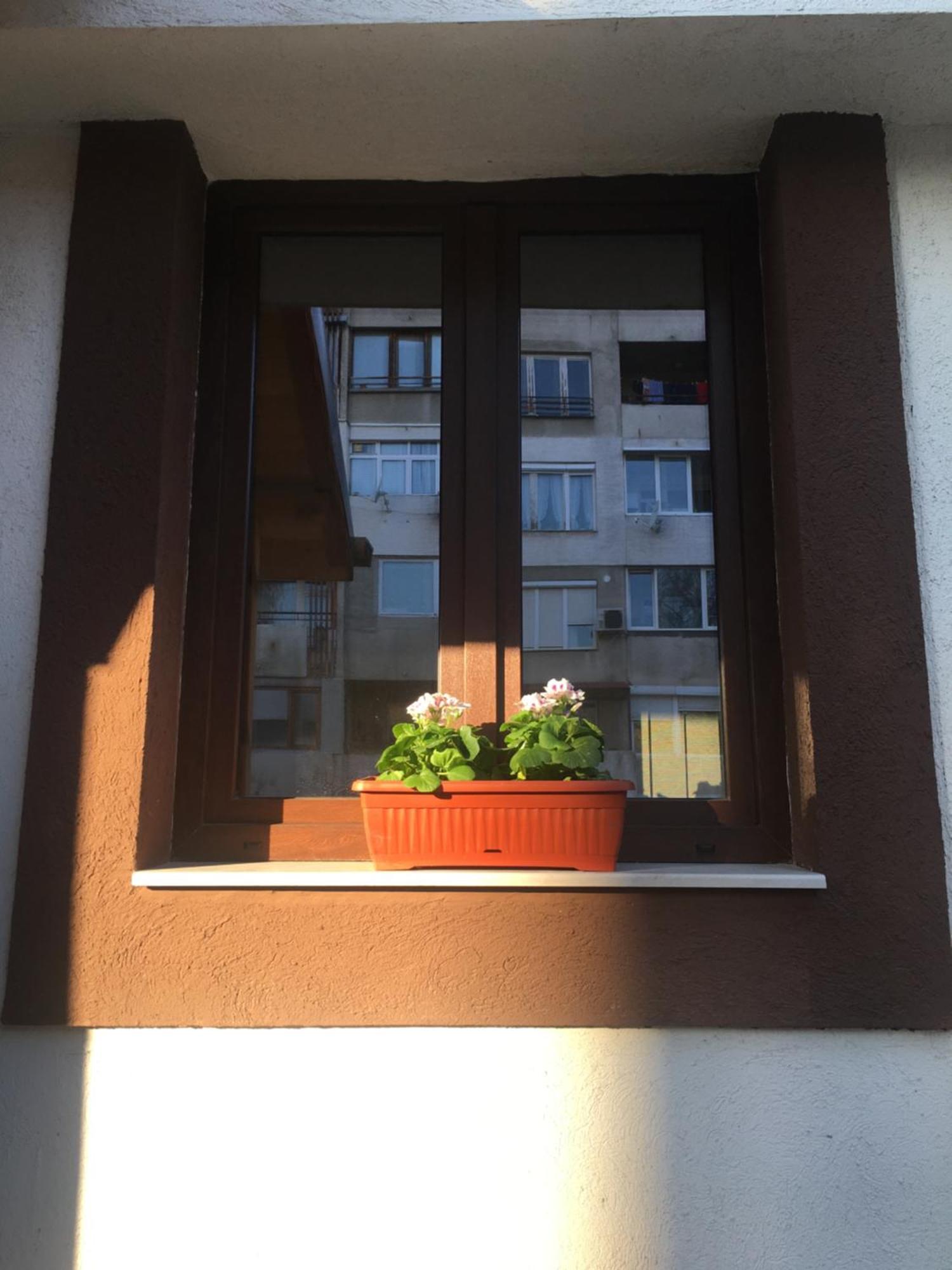 Готель Sofia Family House - Free Parking Екстер'єр фото