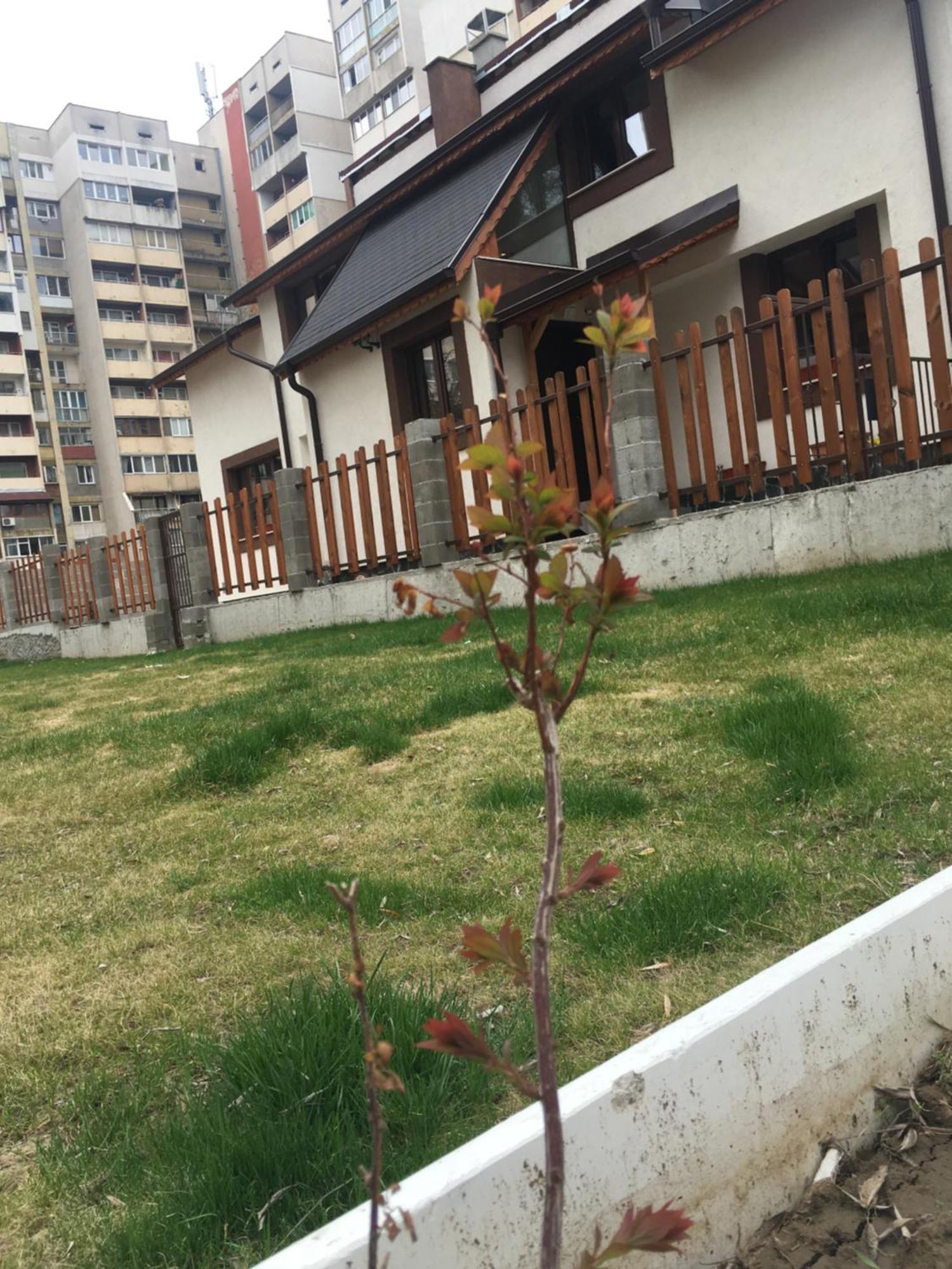 Готель Sofia Family House - Free Parking Екстер'єр фото