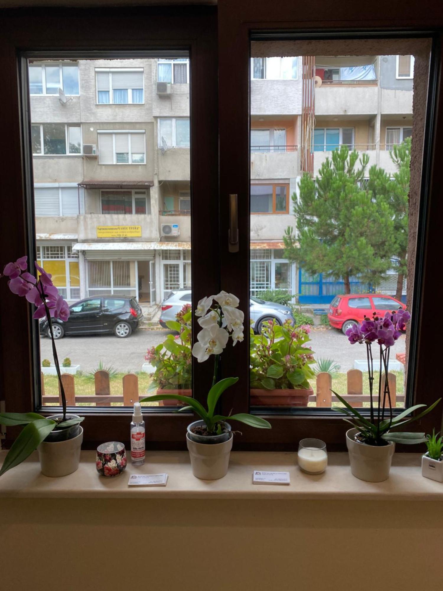 Готель Sofia Family House - Free Parking Екстер'єр фото