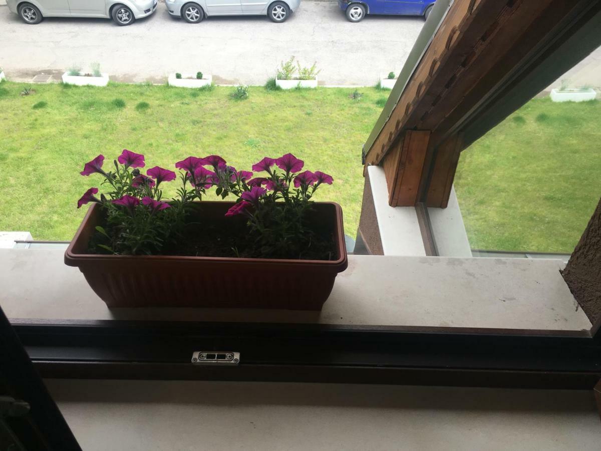 Готель Sofia Family House - Free Parking Екстер'єр фото